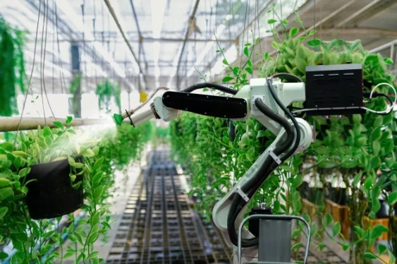Компания из Австралии изобрела роботов, которые будут опылять растения